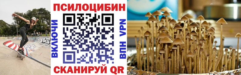 Галлюциногенные грибы Psilocybine cubensis  Урень 